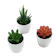 Kunataruma Kaktus Mini Plastik 1