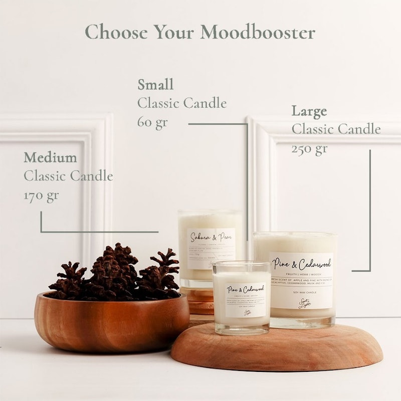 Scent & Light Small Scented Candle Pine & Cedarwood 2