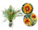 Bunga Matahari Gazania 1