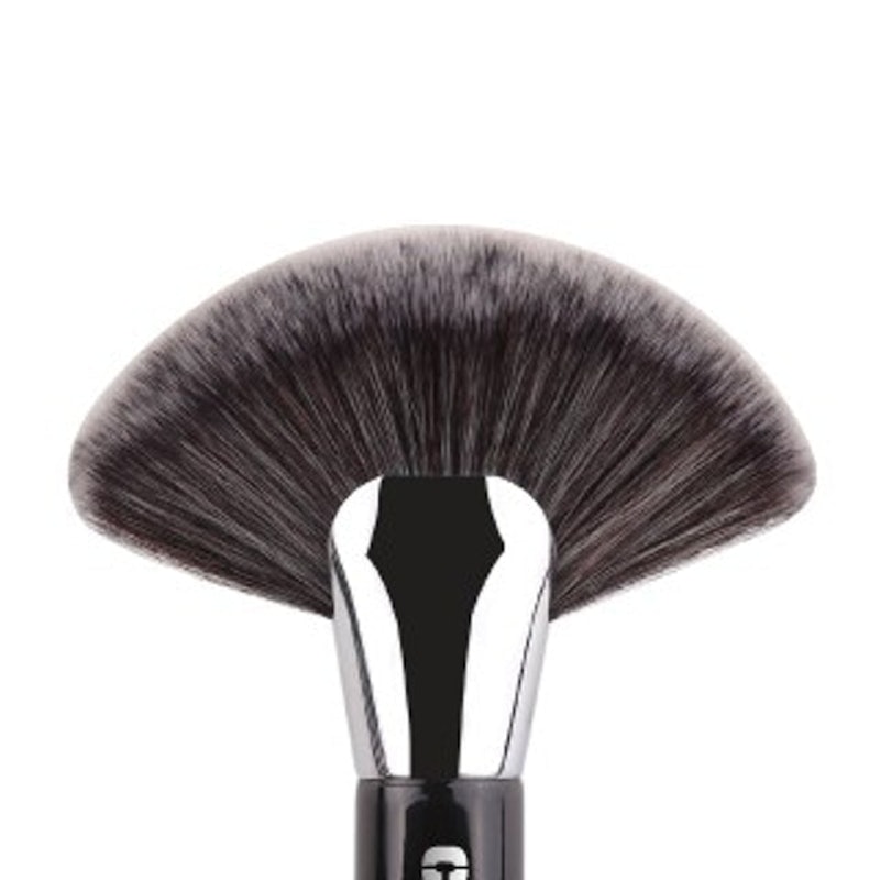 Deluxe Fan Brush 3