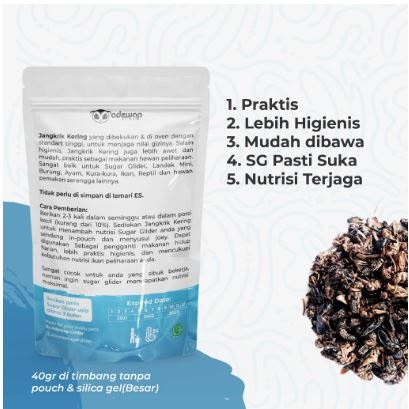 Adewap Dried Cricket 2