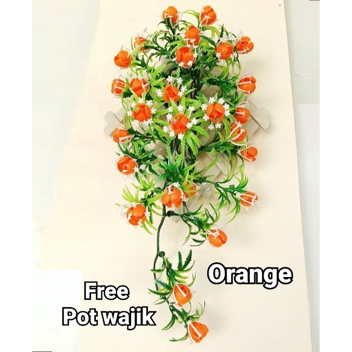  Bunga Rambat Karmelia Gantung 