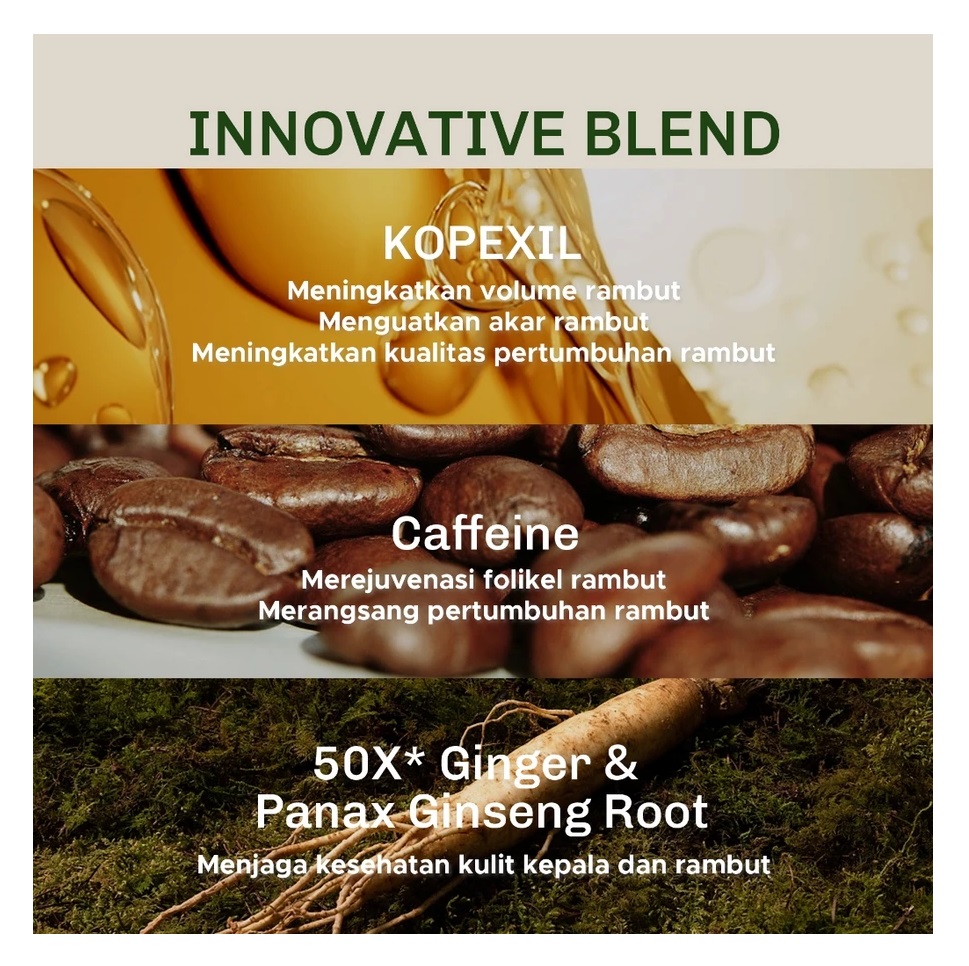 HEBE Beauty Style Lavojoy Hold Me Tight Pro Scalp Essence Spring Wonder