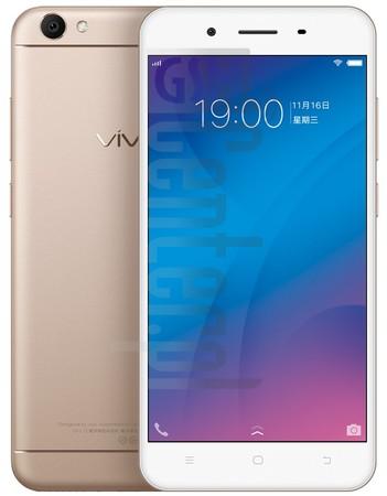 vivo Y66