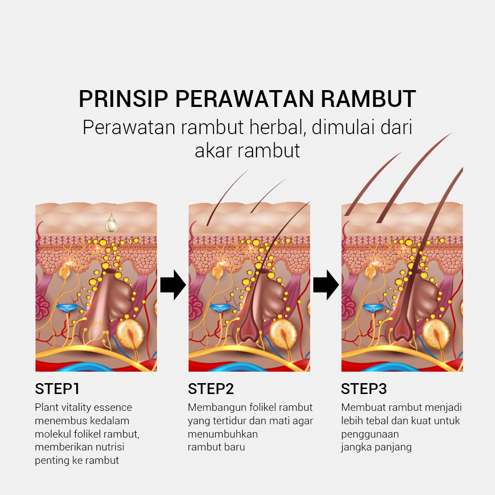 Shenzhen Qianzimei Cosmetics BREYLEE Hair Essential Oil