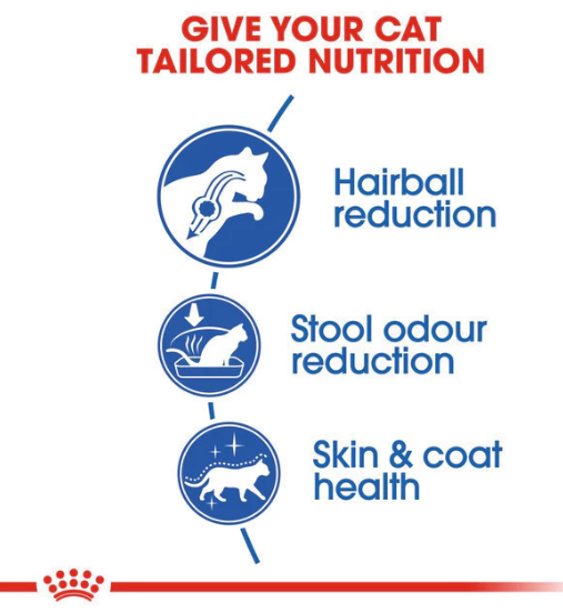 Mars Petcare Royal Canin Indoor Long Hair Dry Cat Food 400 gram