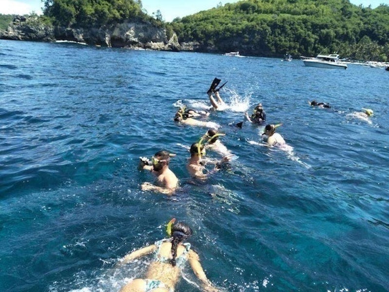 Open Trip Snorkeling Manta Bay Nusa Penida 2