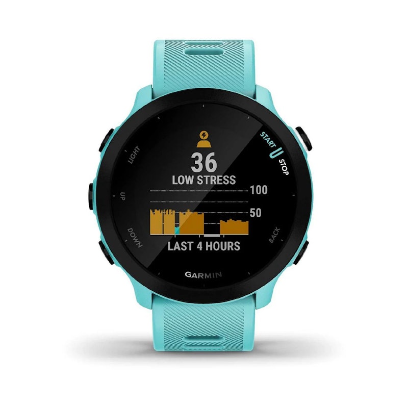 Forerunner 55 1