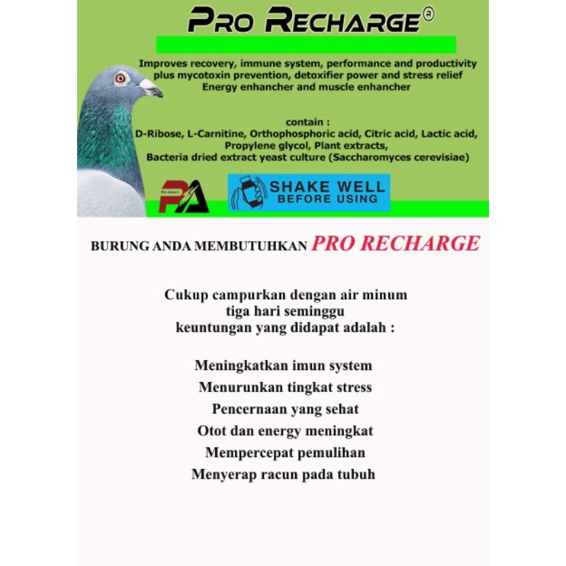 Pro Recharge 4
