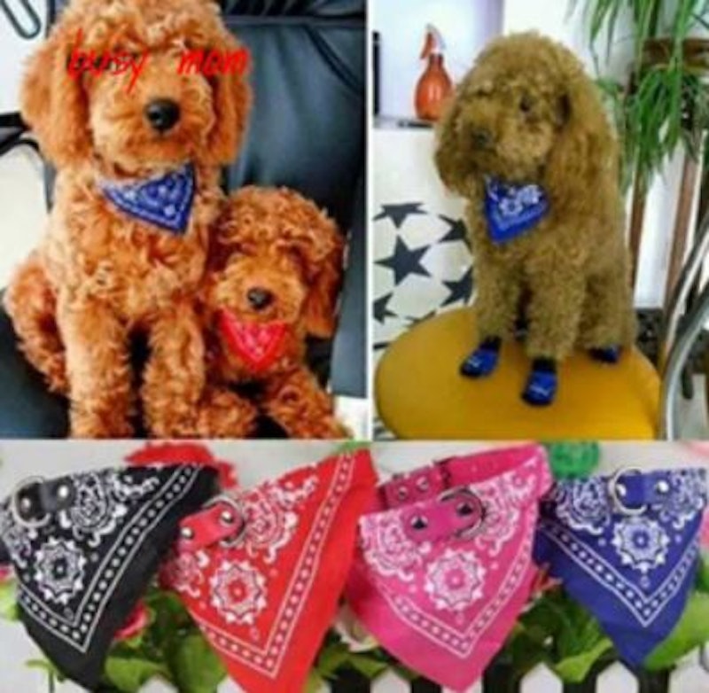 Dog Collar Cowboy Scarf Bandana 3