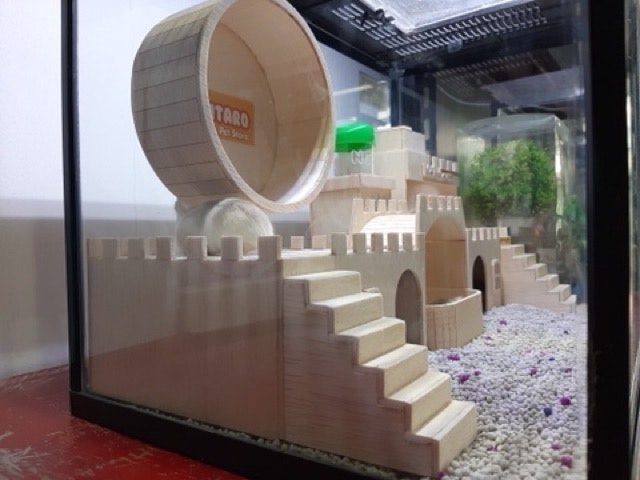  Terarium Kandang Hamster Mainan Kayu