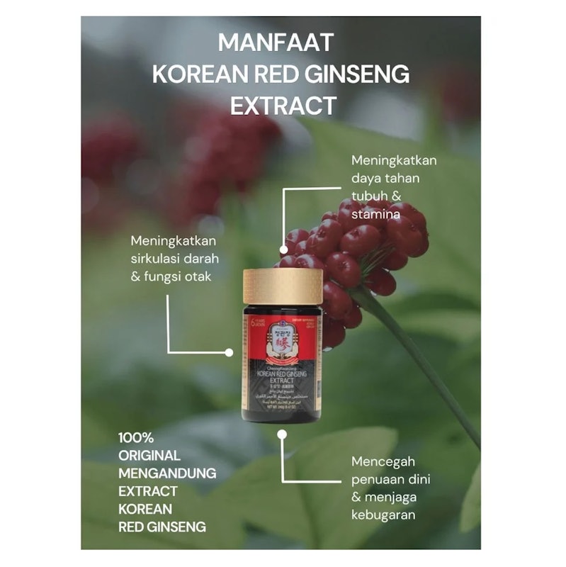 JungKwanJang Korean Red Ginseng Extract 2