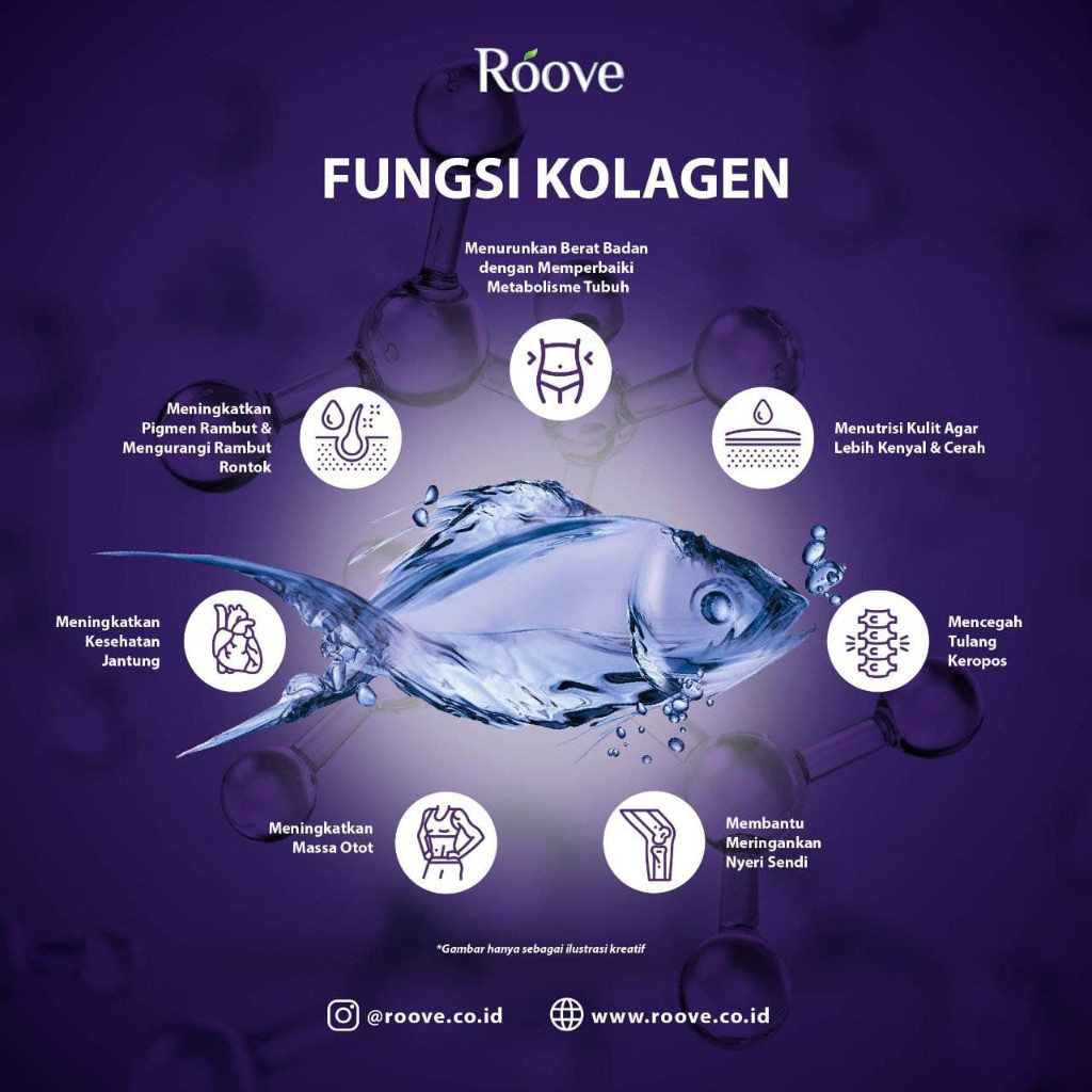 Roove Blueberry Collagen Drink 10 Sachet 5