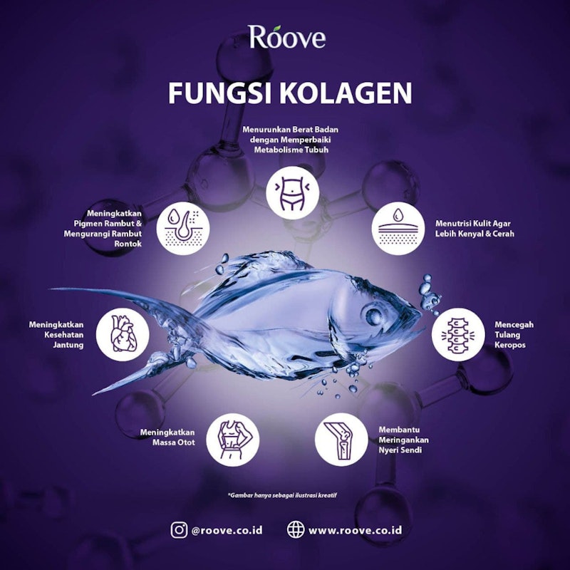 Roove Blueberry Collagen Drink 10 Sachet 5