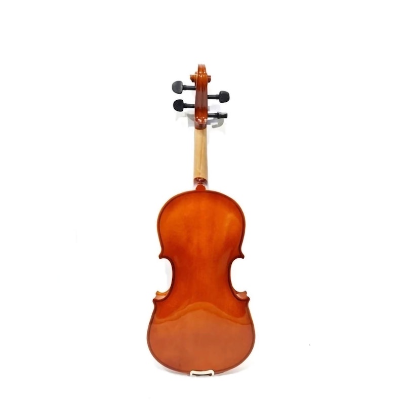 Vienna Biola Akustik 4