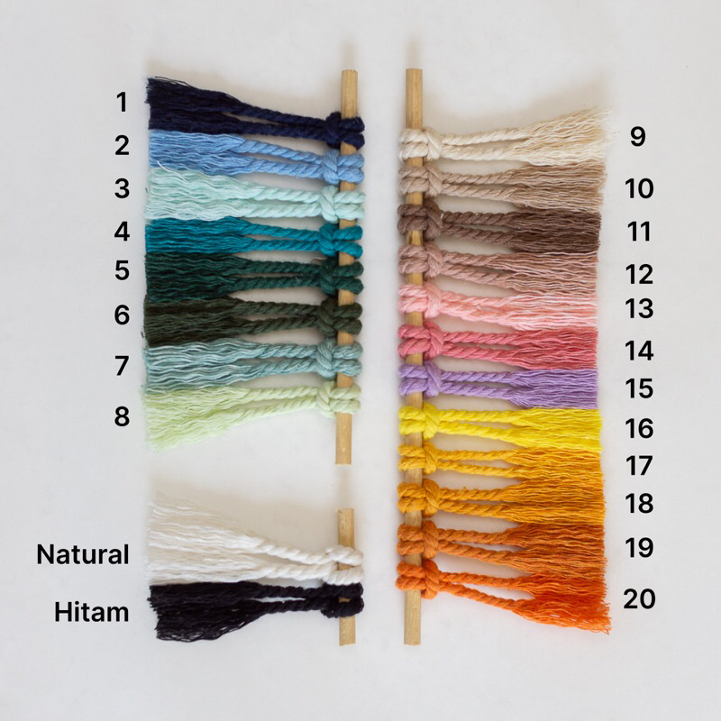 Hiasan Dinding Macrame Daun 3