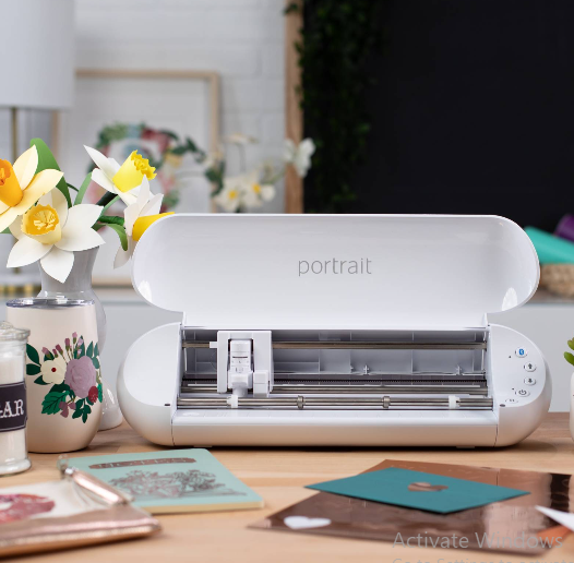 Silhouette  Portrait 3