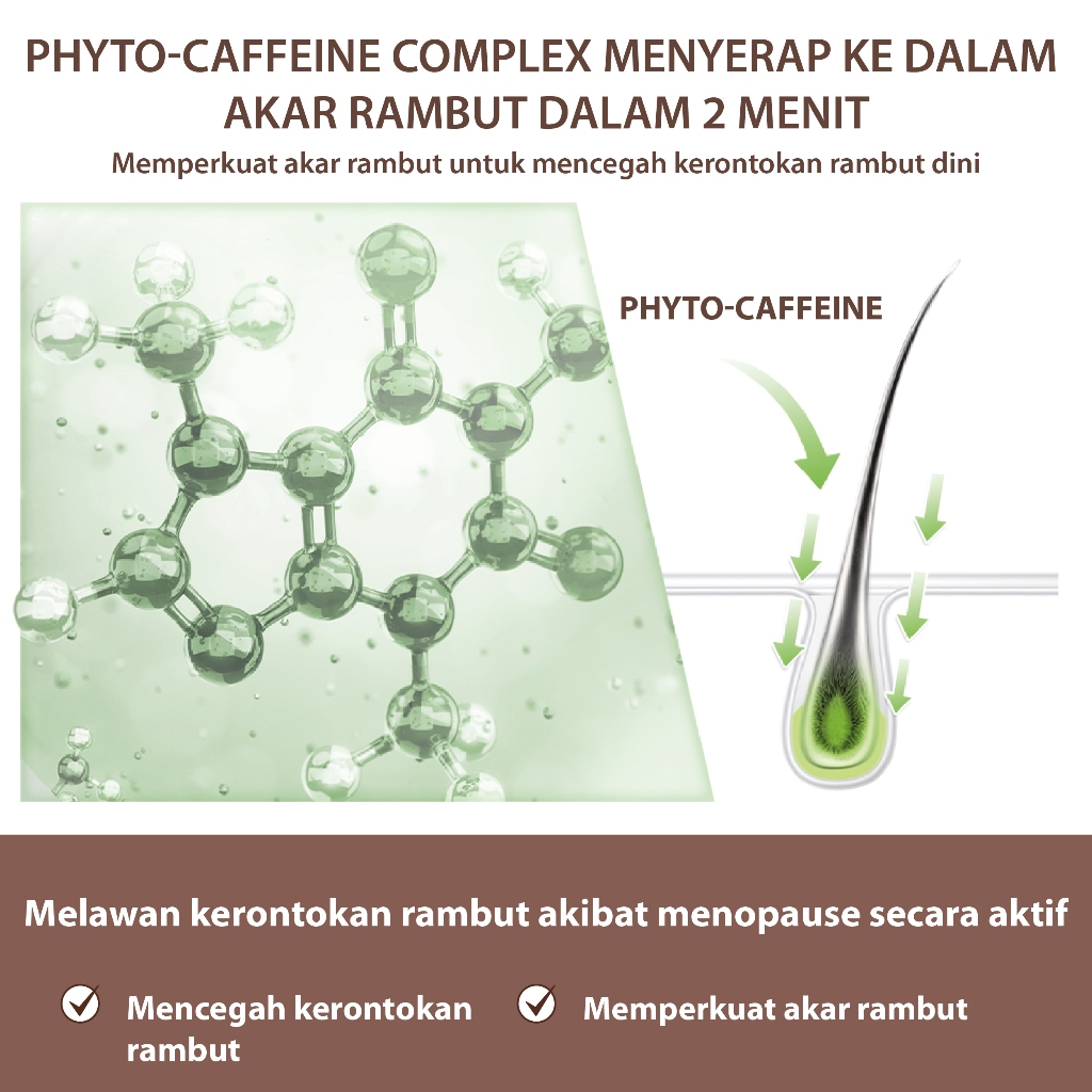 Plantur 39 Colour Brown Conditioner 5