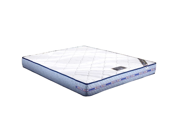 Royal Foam Exclusive Economy WH Blue