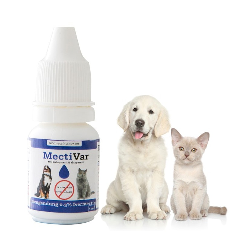 MectiVar 2