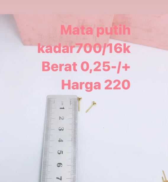 Toko Emas Berkah Muda Giwang Emas Bayi 16K 2