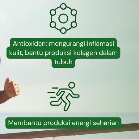 Kehidupan Tropis Indah NILAYA Organic Chlorella Tablet