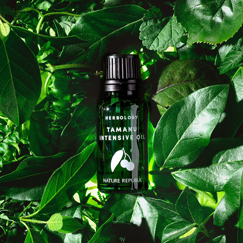 Kolmar Nature Republic Herbology Tamanu Intensive Oil