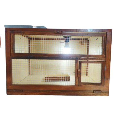 Kandang Anak Ayam Petelur DOC