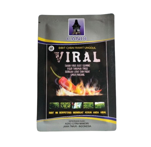 Candi Bibit Cabai Rawit Unggul Viral