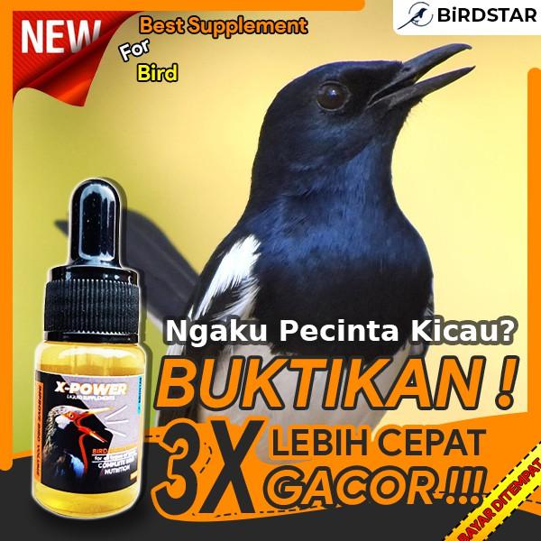  X-POWER Vitamin Burung Berkicau