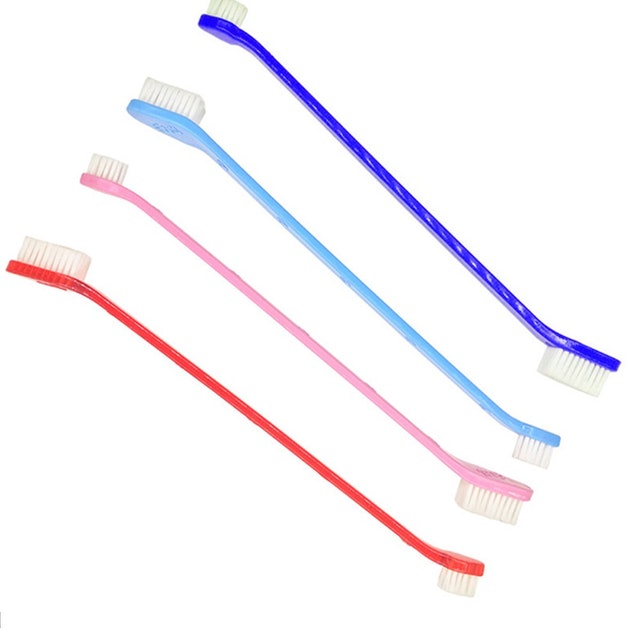 Sikat Gigi Anjing Kucing Musang