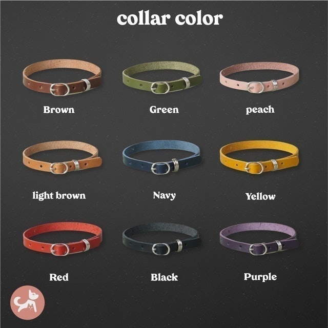 Treat and Tail Kalung Kucing Kulit Asli Custom Liontin Stainless Steel