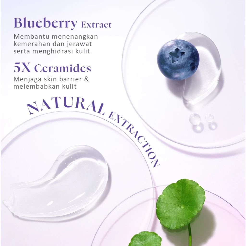 Suntone Wisdom Indonesia Glad2Glow Blueberry Ceramide Low pH Gel Cleanser