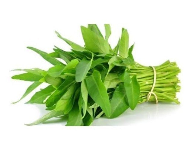 Kangkung 