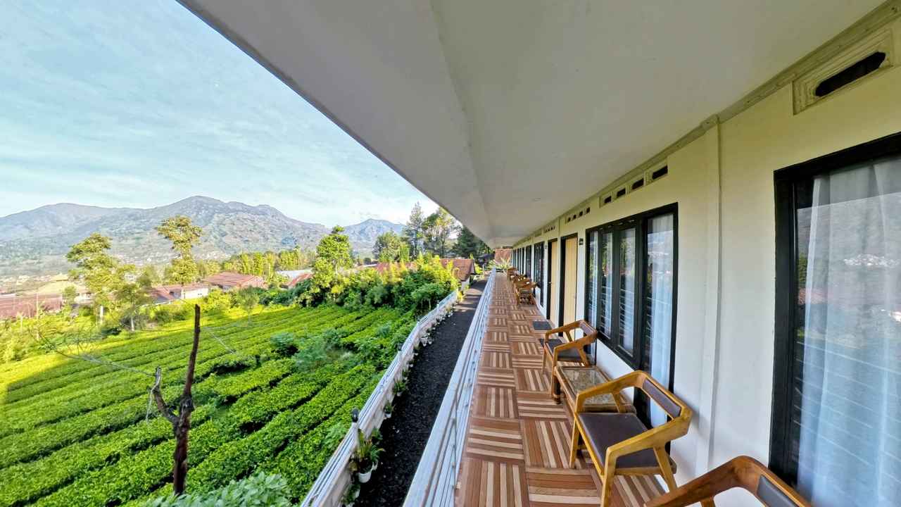 Perkebunan Tambi Tambi Tea Resort