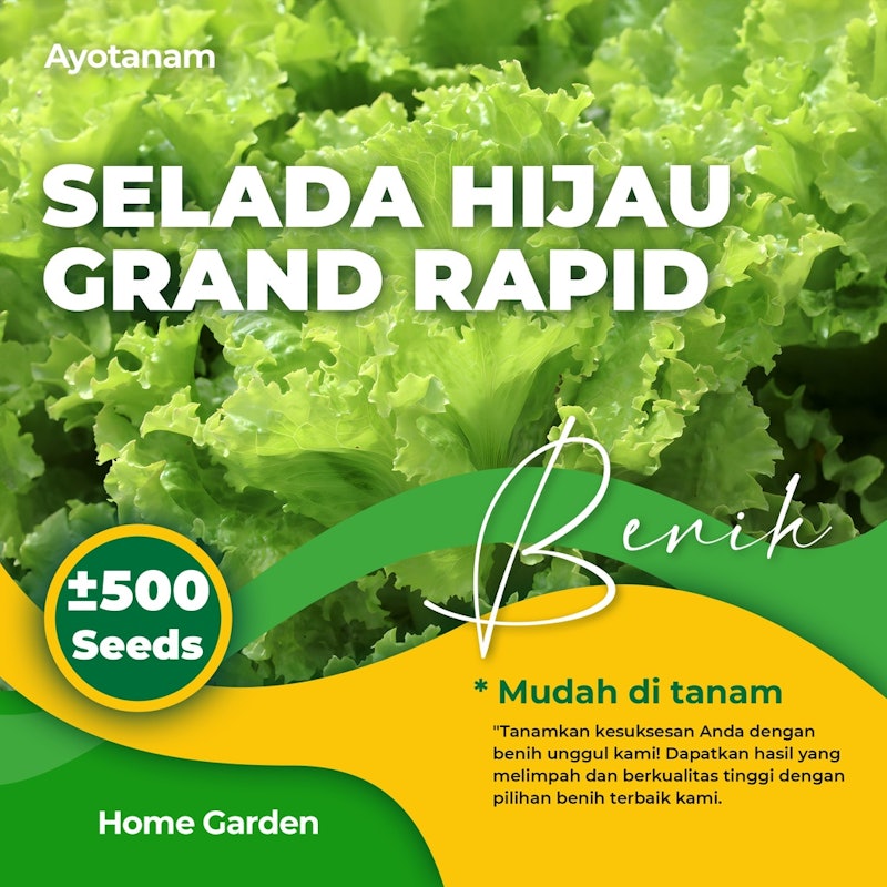 AYOTANAM Benih Selada Hijau Grand Rapid 2