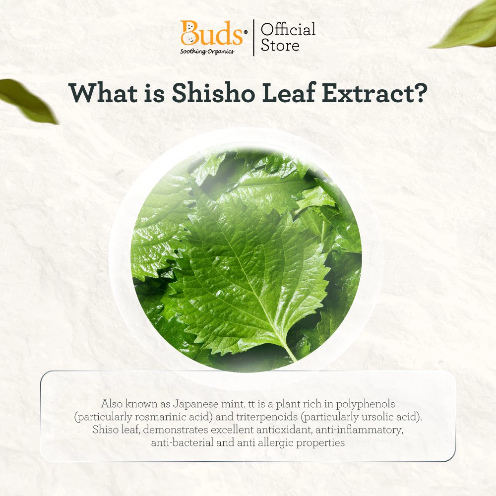 Buds Organics Indonesia Buds® Organics Nappy Time Soothing Cream