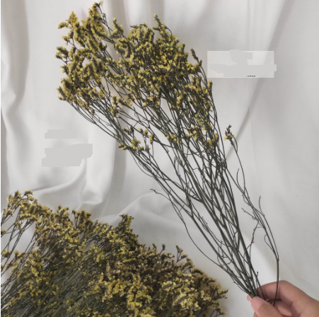 Preserved Limonium 3