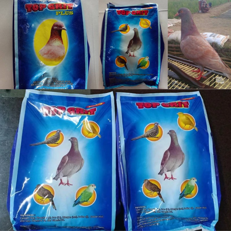 Topsong High Quality Top Grit Plus