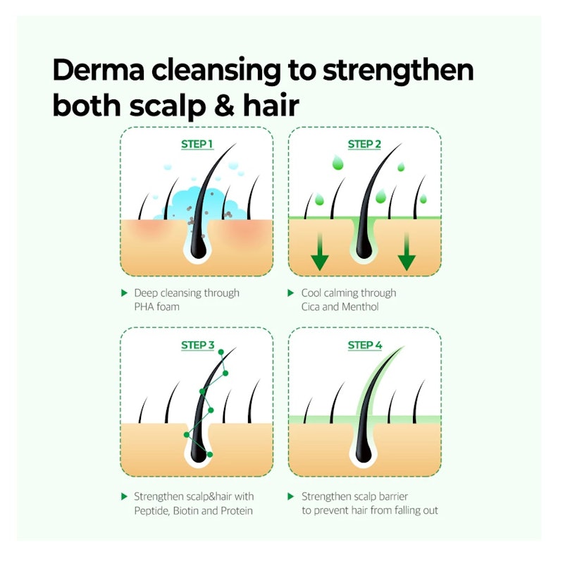 Cica Peptide Anti Hair Loss Derma Scalp Shampoo 4