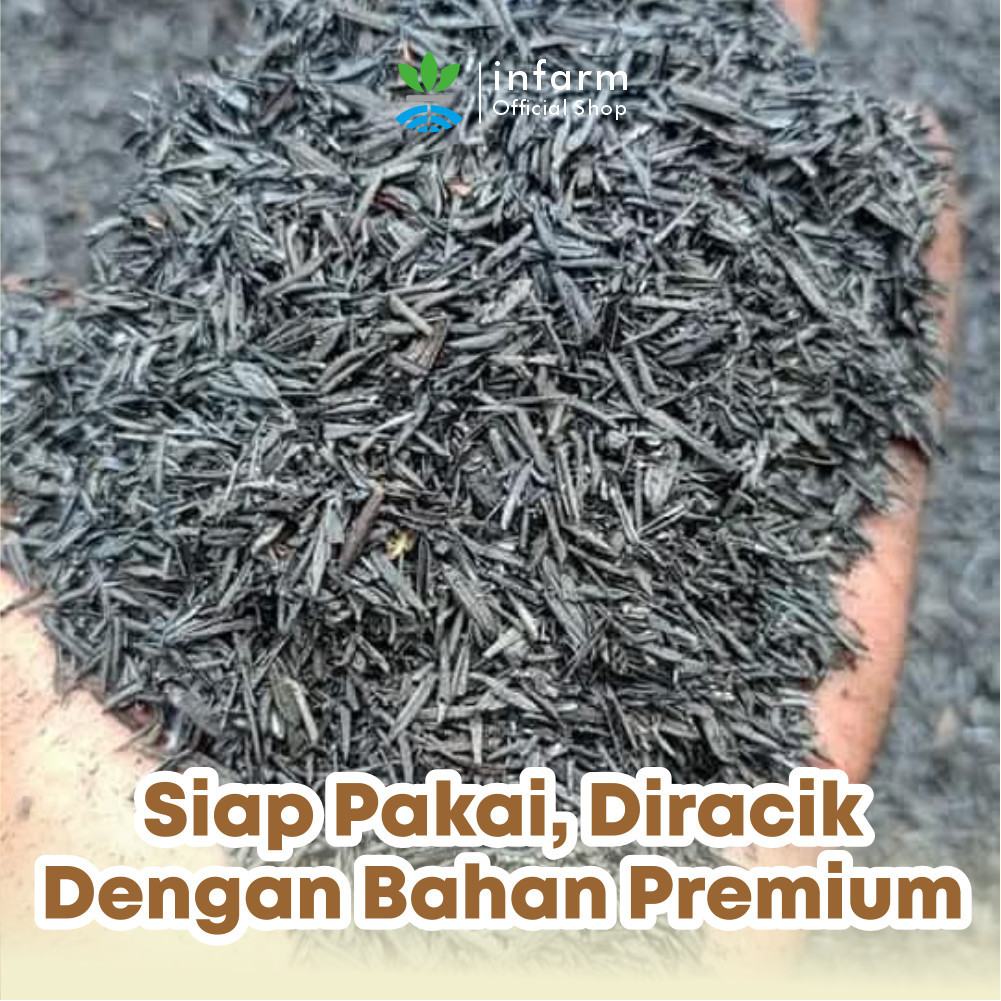 INFARM Media Tanam Aglonema