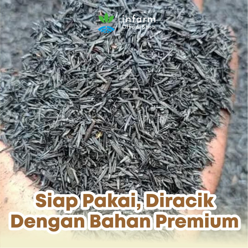 INFARM Media Tanam Aglonema 3