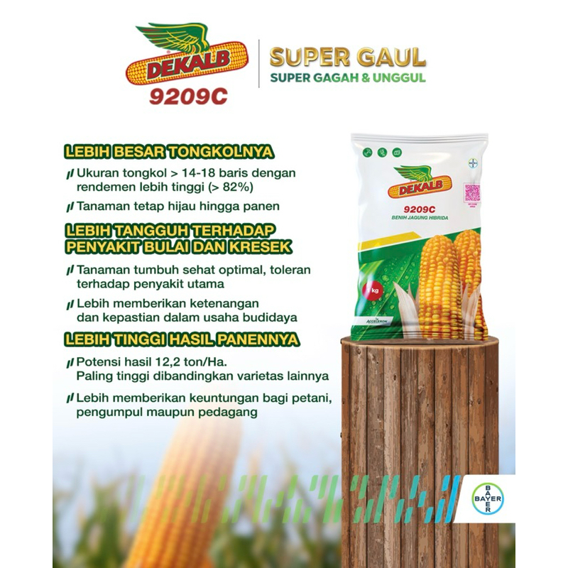 Dekalb Benih Jagung Hibrida  4