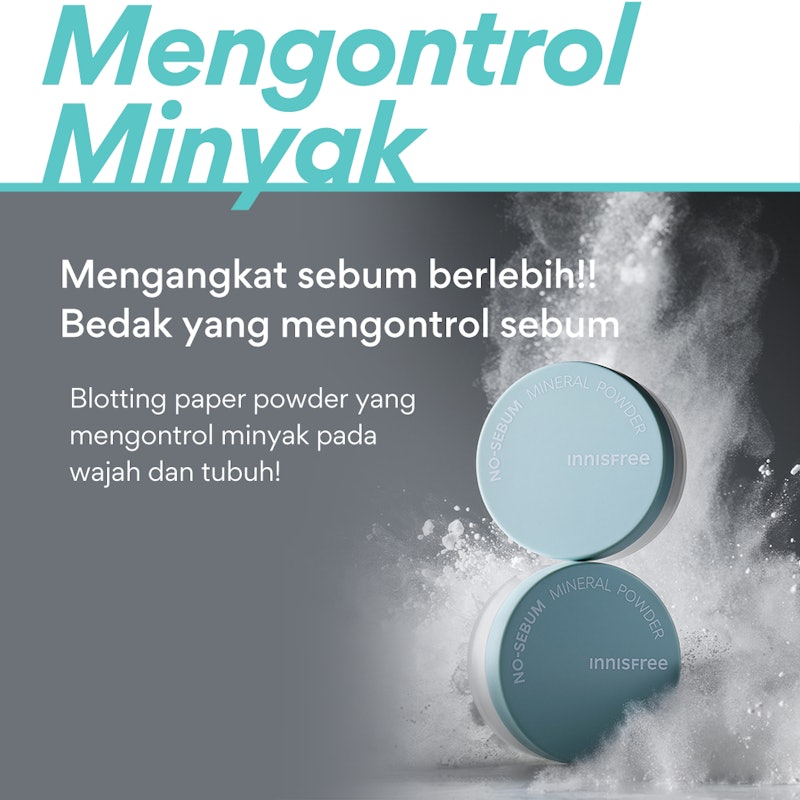 No-Sebum Mineral Powder 2