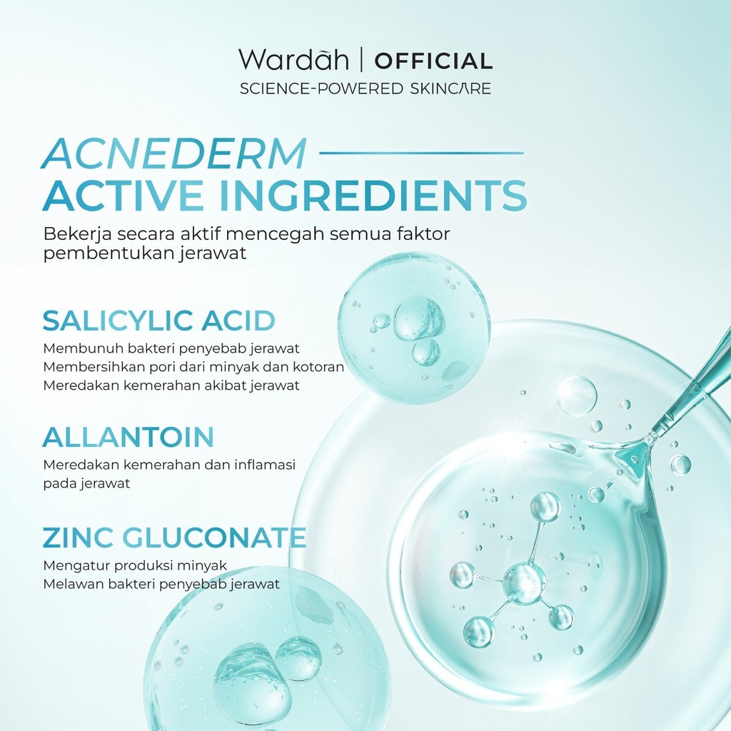 Paragon Technology and Innovation Wardah Acnederm Salicylic Acid Zinc Acne Clearing Low pH Foaming Cleanser
