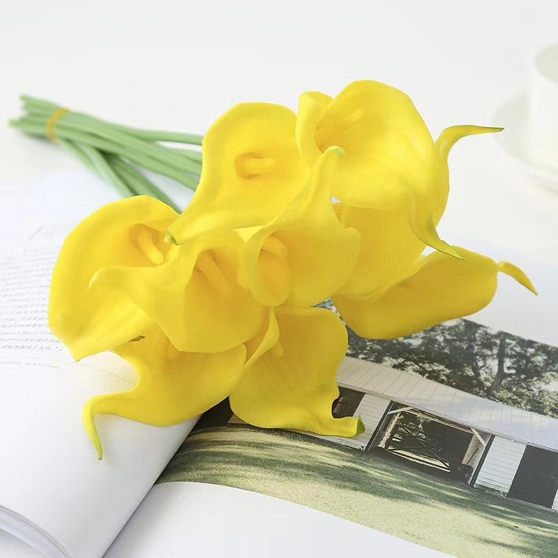 Bunga Lily Hias Calla Cala Lili 4