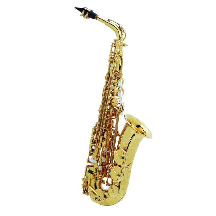 Alto Saxophone ｜ ZAS-600