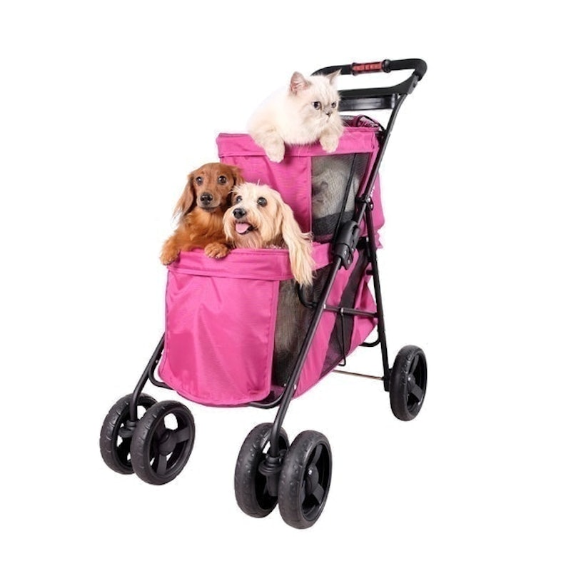 Double Decker Pet Bus 2