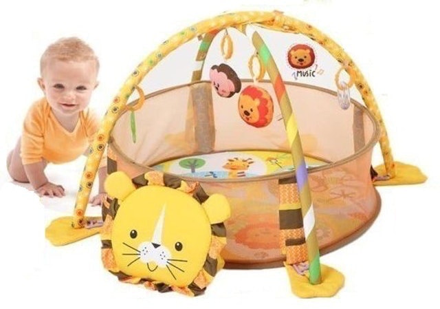 3 in 1 Activity Gym and Ball Pit