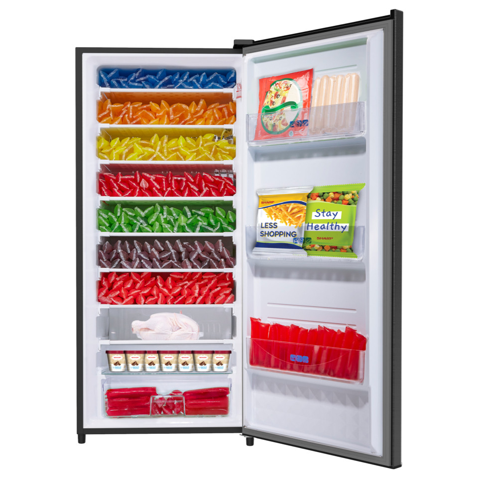 Standing Freezer 3